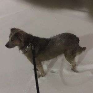 Meet your Posher, Gina